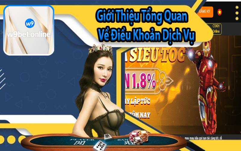 Giới Thiệu Tổng Quan Về Điều Khoản Dịch Vụ